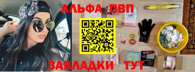 кокс Кингисепп