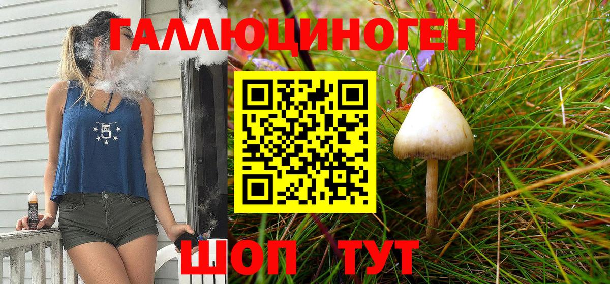 Псилоцибиновые грибы Psilocybe Южноуральск